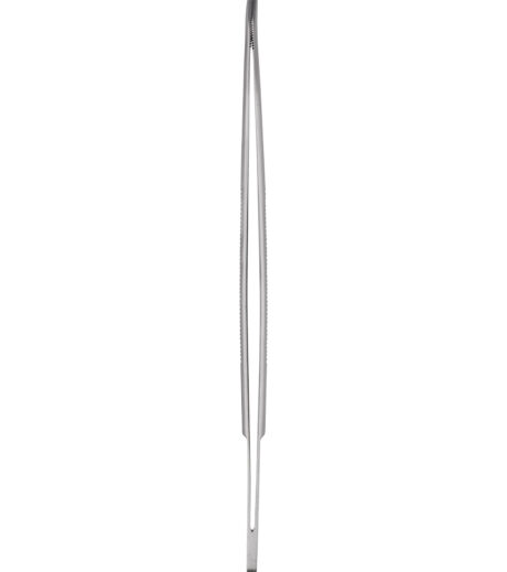 Standard Pattern Forceps Curved 20cm