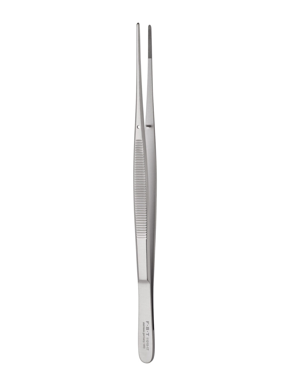 Taylor Forceps Straight Serrated