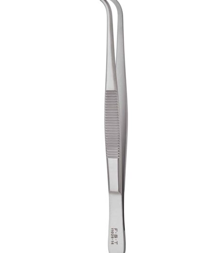 Strong Forceps Curved 1×2 Teeth