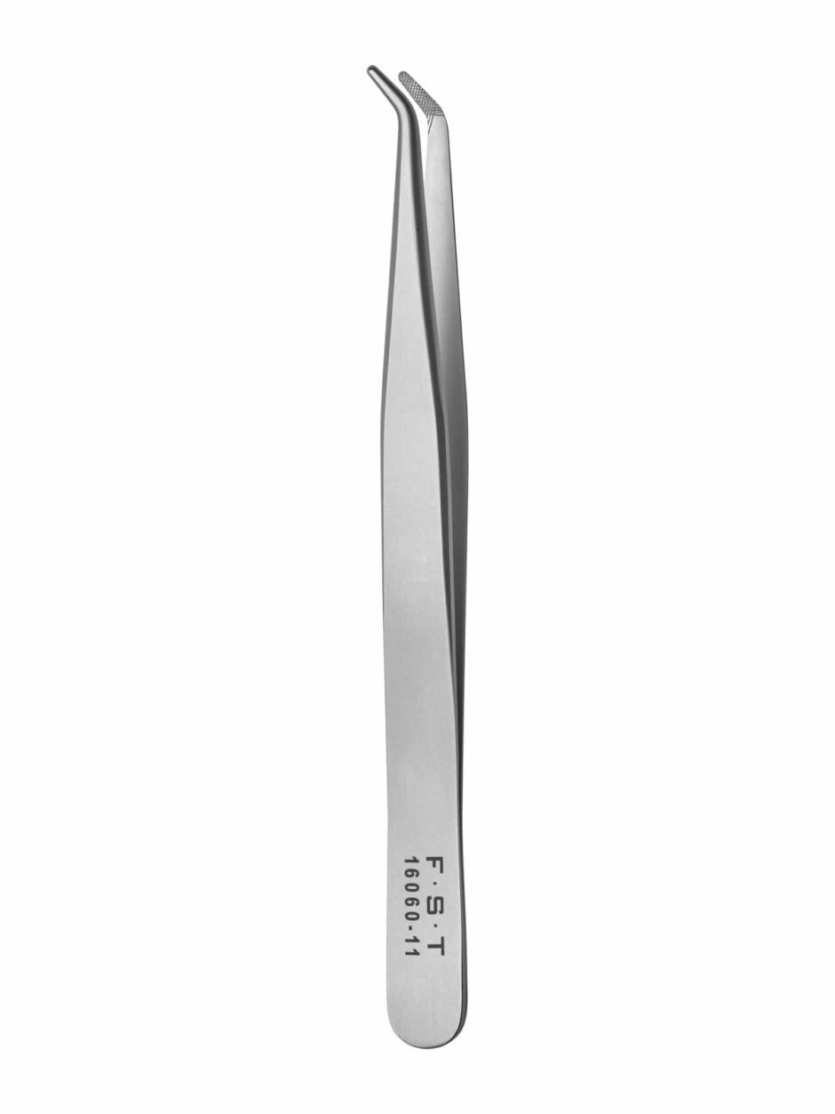 Bone Forceps